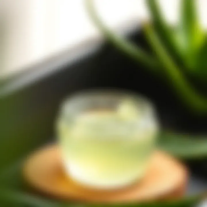 Various applications of aloe vera gel in skincare and wellness