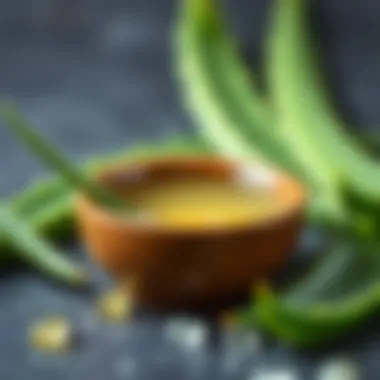 Aloe vera gel extracted from the leaves in a small bowl