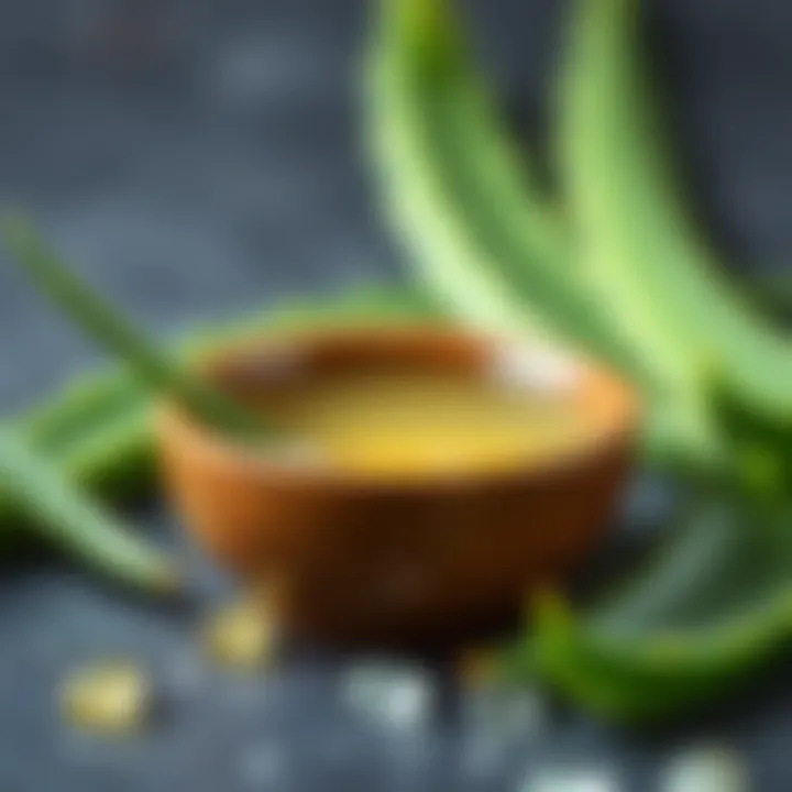 Aloe vera gel extracted from the leaves in a small bowl