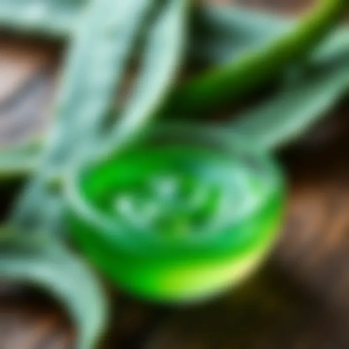 Soothing Aloe Vera Gel for Skin Care The soothing properties of aloe vera gel on skin