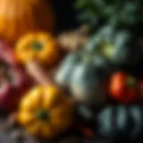 A variety of autumn vegetables freshly harvested