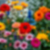 A vibrant variety of garden flowers in full bloom
