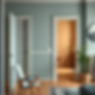 Checklist of criteria for choosing paint for panel doors