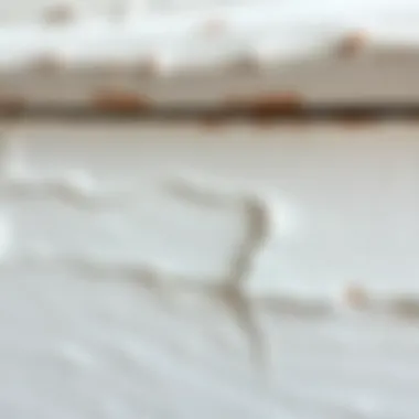 Textures Achieved through Distressing Showcasing various textures achieved with white distressing technique