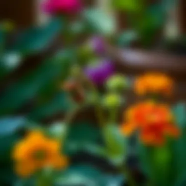 Protective measures against plant pests and diseases