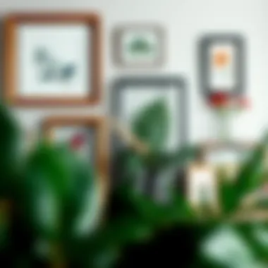 An elegant display of decorative frames with botanical elements.