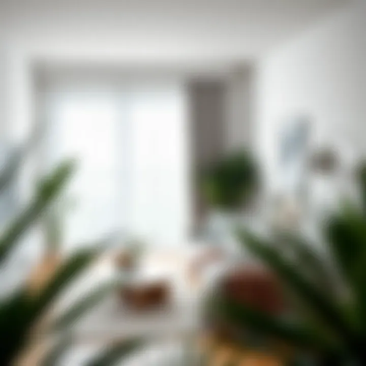 Bright and airy living space with slender leaf plants