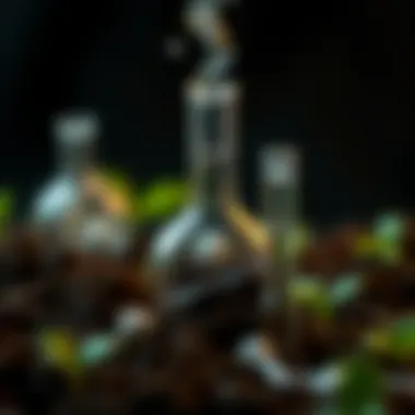 Chemical reactions occurring within soil