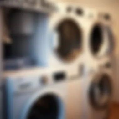 Various clothes dryer capacities with clear labels