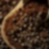 Rich and aromatic Turkish coffee grounds