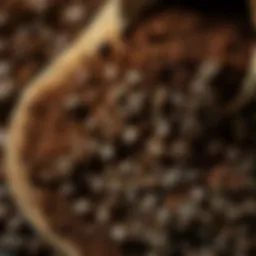 Rich and aromatic Turkish coffee grounds