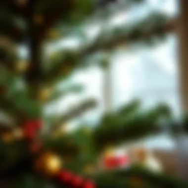 An array of creative decorations, showcasing various techniques and styles