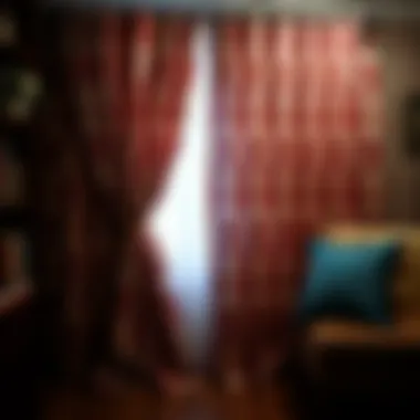 Stylish curtain tying techniques displayed