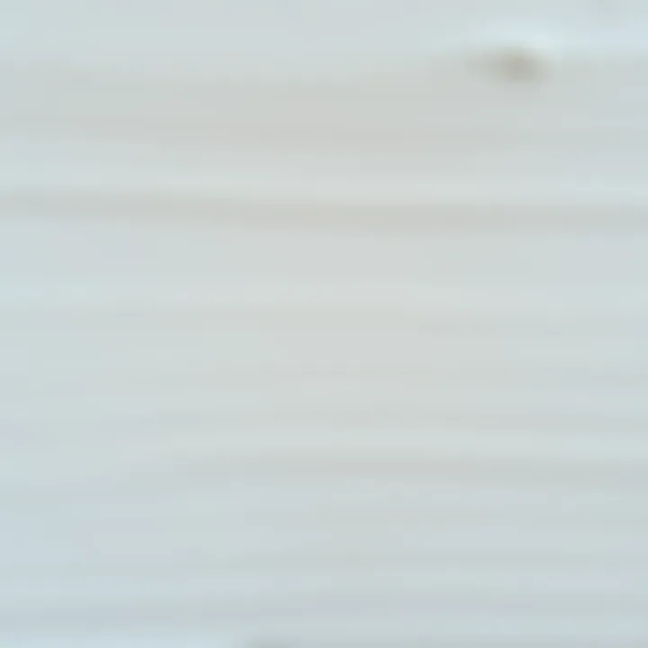 Close-up of textured wall paint in soft gray tones