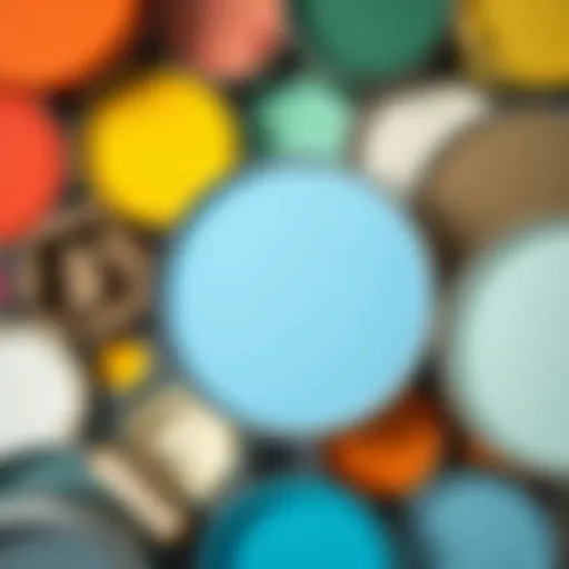 Various types of wall paint in different colors arranged neatly