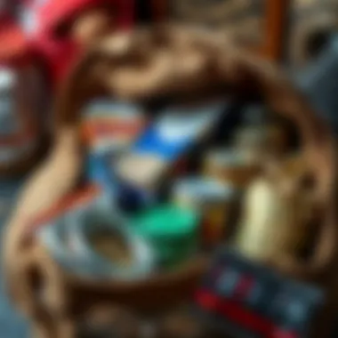 Emergency food supplies stored in a bag