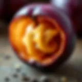 Illustration of a plum seed showcasing its structure