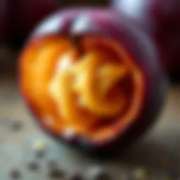 Illustration of a plum seed showcasing its structure