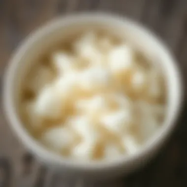 Close-up of kefir grains in a bowl