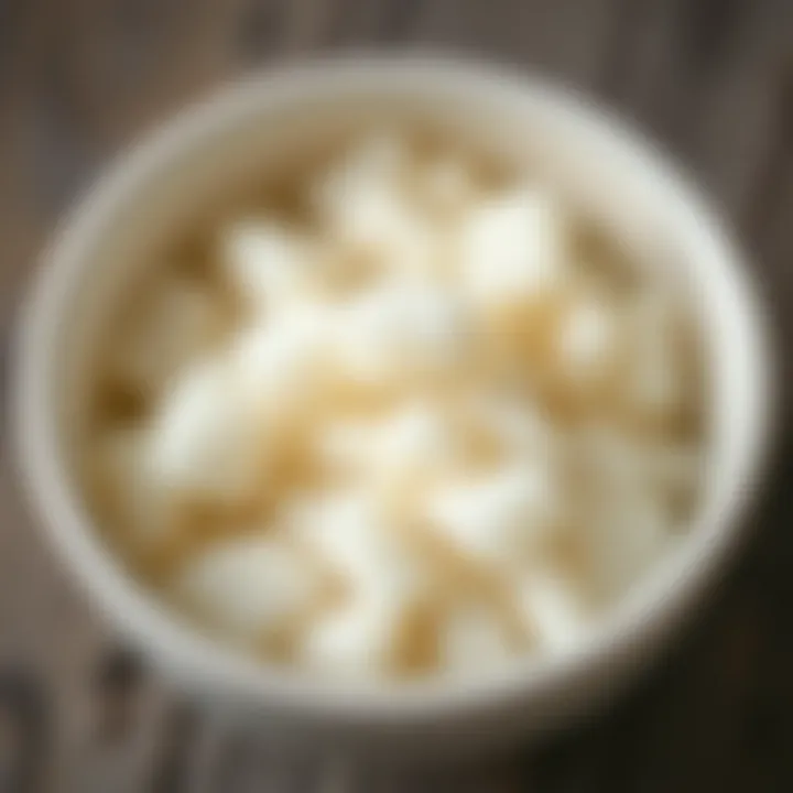 Close-up of kefir grains in a bowl