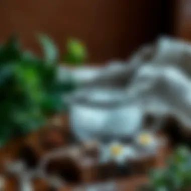 Harnessing Nature: Ingredients for Silver Polishing Natural ingredients for silver polishing