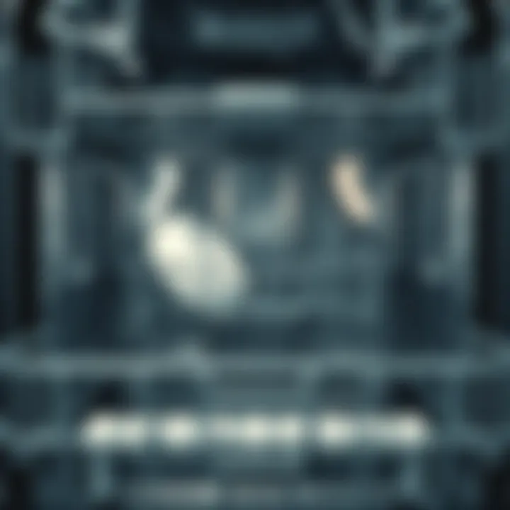 Inside view of a clean dishwasher