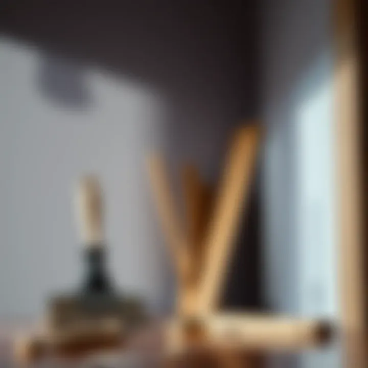 Tools for applying interior paint