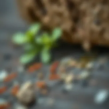 Natural deterrents for ants