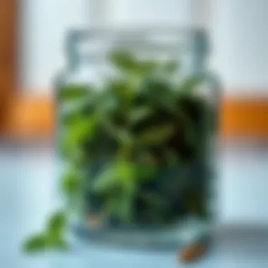 Dried mint leaves in a glass jar