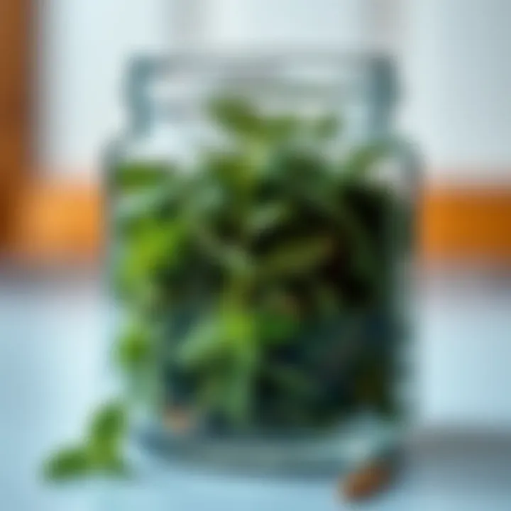 Dried mint leaves in a glass jar