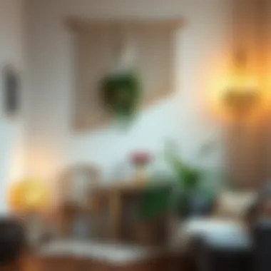 Unique macrame design ideas