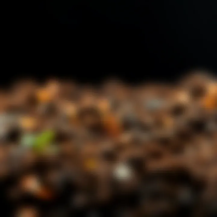 Microorganisms thriving in nutrient-rich soil