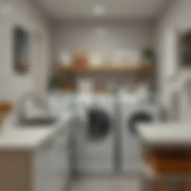 A modern laundry room with various whitening products on display