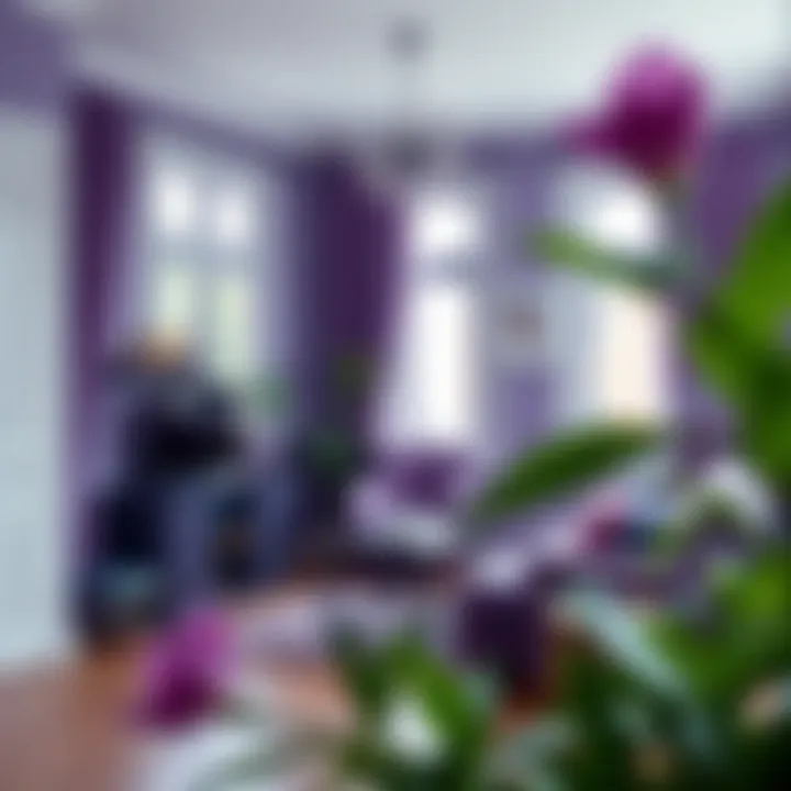 Interior space adorned with shades of purple