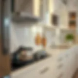 Clean kitchen cabinet showcasing its shine