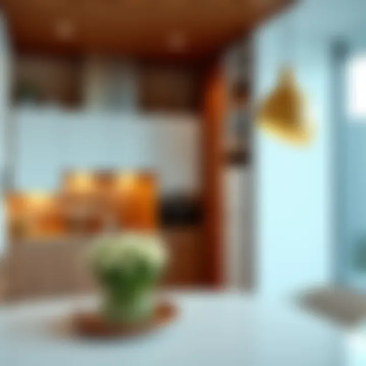 Different styles of kitchen designs with extractor placements