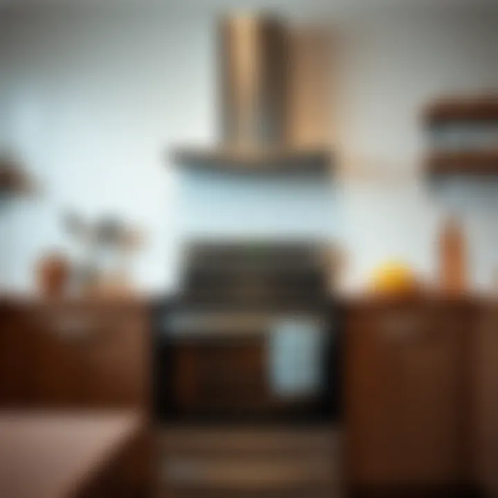 Maintenance tips for ensuring longevity of built-in ovens