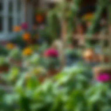 A picturesque view of an organized garden space with seasonal plants.