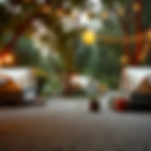 Tranquil campsite nestled in lush nature