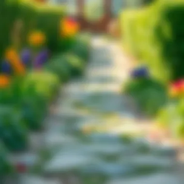 Creative design ideas for personalizing a garden pathway