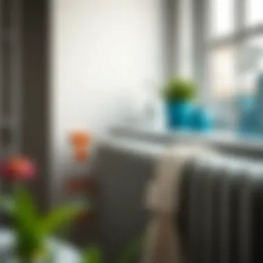 Essential cleaning supplies for radiators