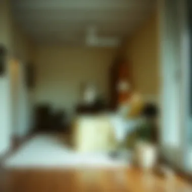 Home cleaning techniques to eliminate fleas