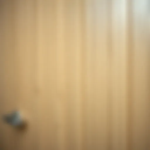 A close-up view of a PVC coated door showcasing its surface texture