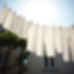 Freshly laundered white clothes hanging under the sun