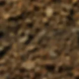 A close-up view of rocky soil showcasing its texture and composition
