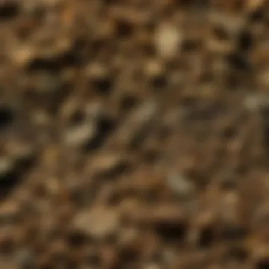 A close-up view of rocky soil showcasing its texture and composition
