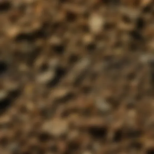 A close-up view of rocky soil showcasing its texture and composition