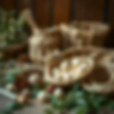 A selection of natural materials used for basket creation