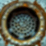 A clear view of a shower drain before any maintenance