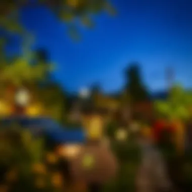 Creative solar lighting design in a lush garden